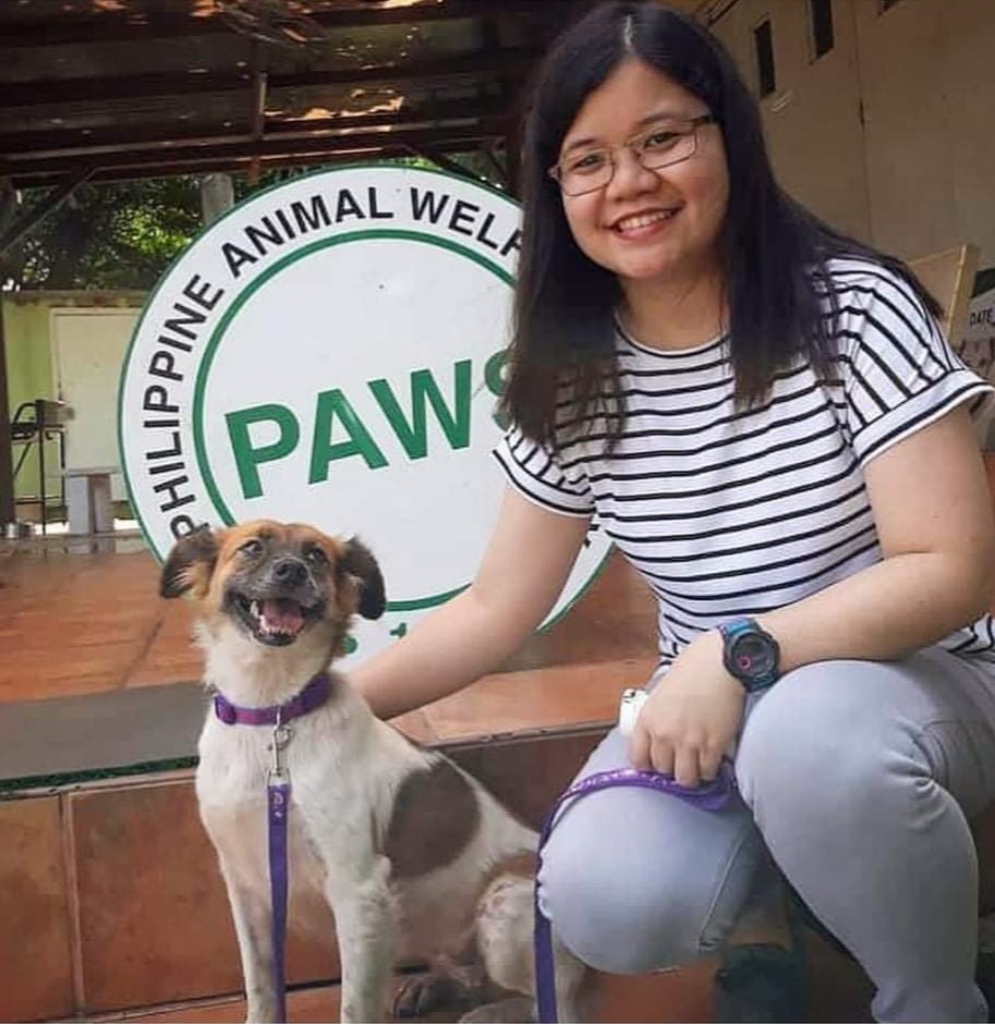 how can i adopt a dog from paws philippines